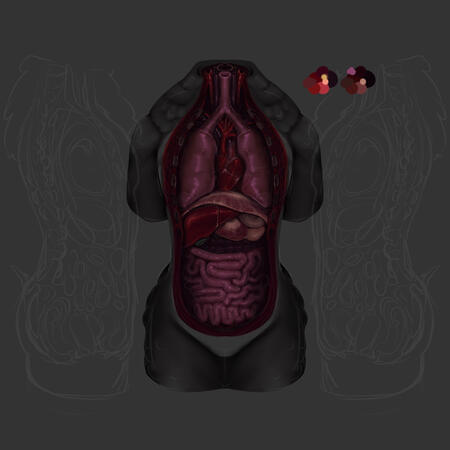 Alucard&#39;s guts, WIP